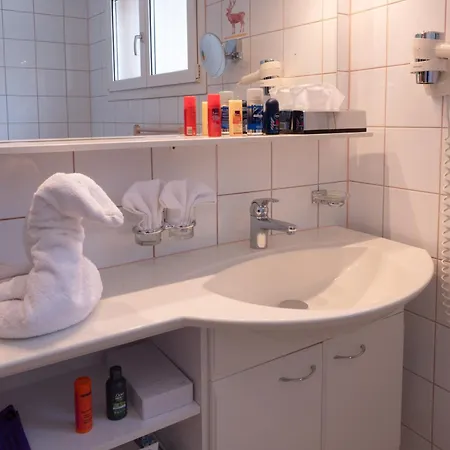 Hirschen - Grindelwald