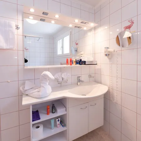 Hotel Hirschen - Grindelwald