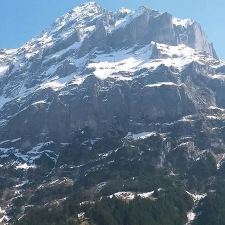 히르셴 - 그린델발트