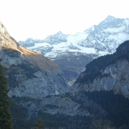 Hotel Hirschen - Grindelwald