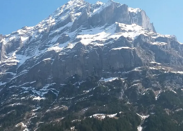 Hirschen - Grindelwald