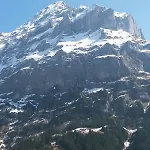 Hirschen - Grindelwald