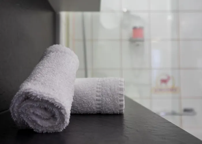 酒店 海尔森酒店 - 3*