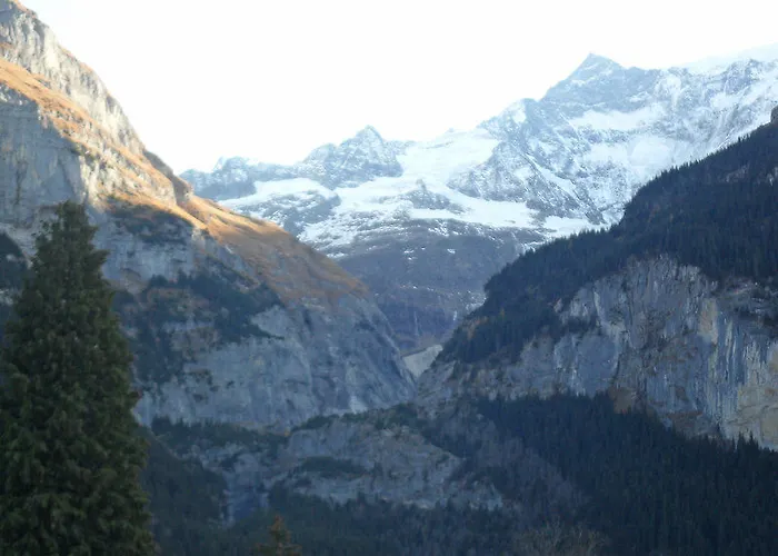 Ξενοδοχείο Hirschen - Γκρίντελβαλντ